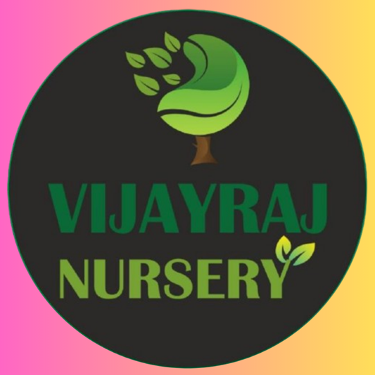 VijayRaj